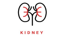 Lal Path lab noida sector 78 Kidney test